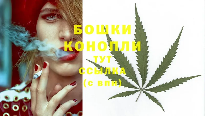 Шишки марихуана SATIVA & INDICA  как найти наркотики  Венёв 